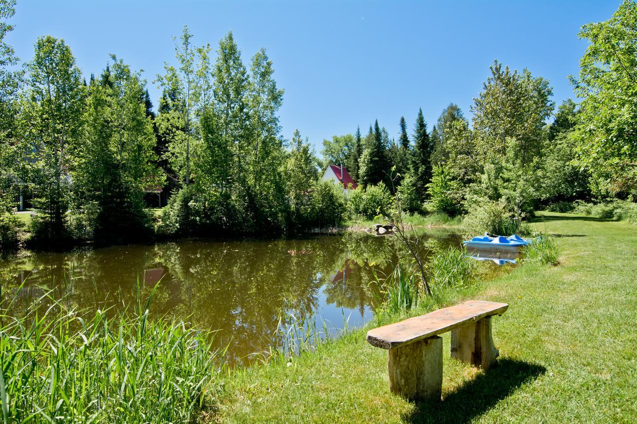 Camping Chalets Spas Pignons Rouges Saint Romain Εξωτερικό φωτογραφία