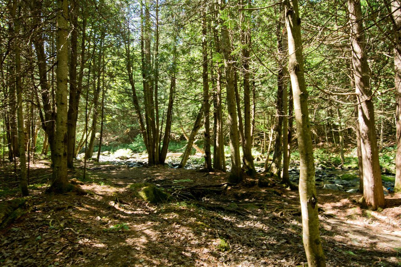 Camping Chalets Spas Pignons Rouges Saint Romain Εξωτερικό φωτογραφία