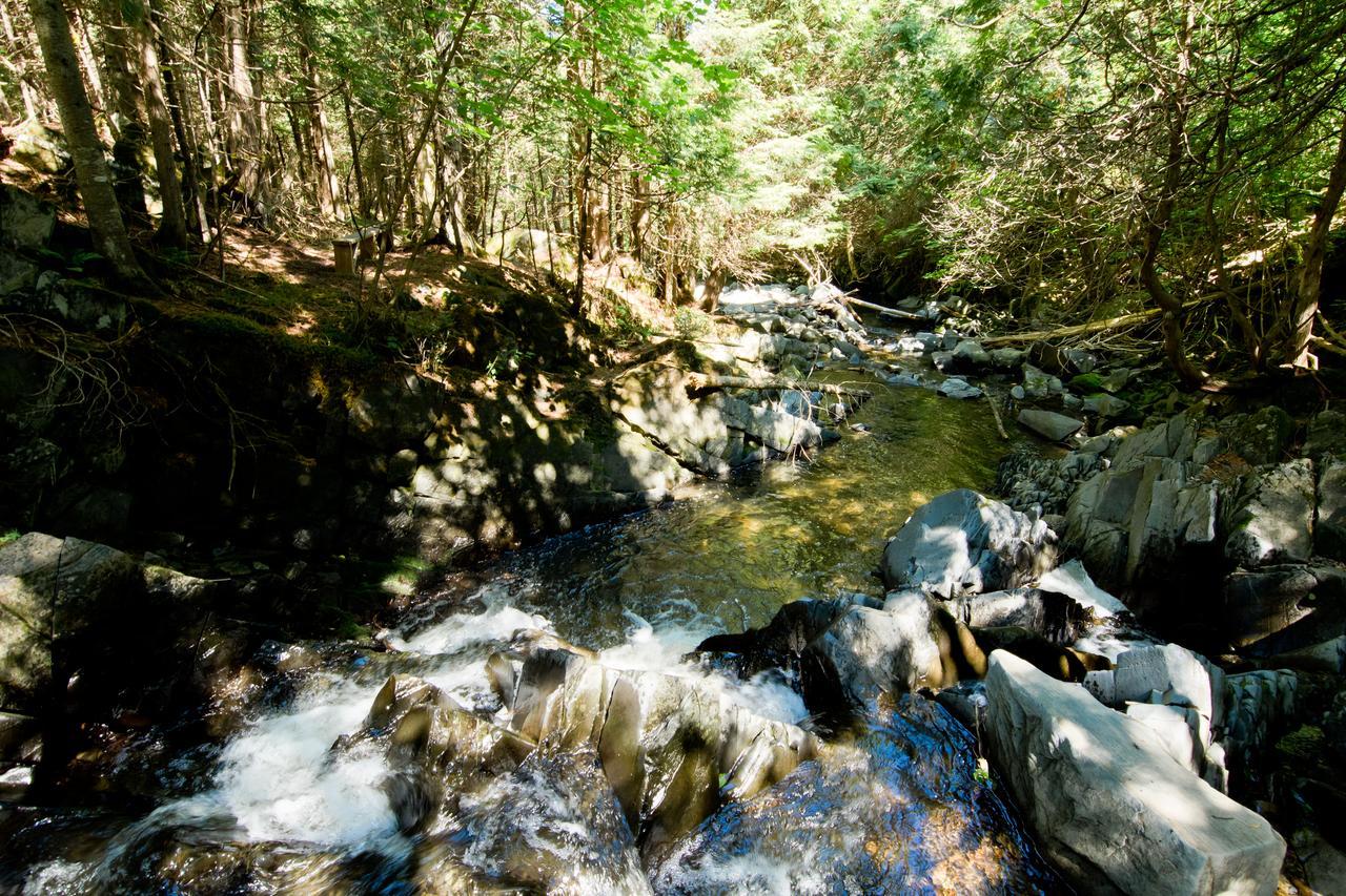 Camping Chalets Spas Pignons Rouges Saint Romain Εξωτερικό φωτογραφία